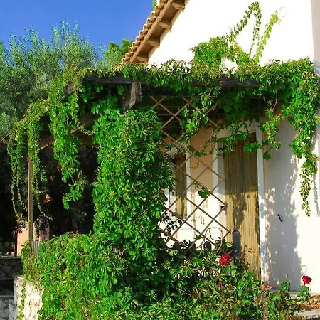 Rosemary Mediterranean * Athánion
